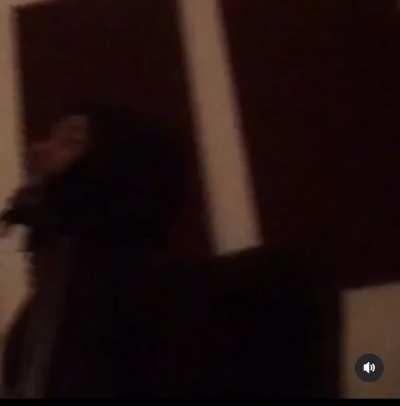 D.rose(600/thf/folly) and capo(F$/nlmb) listening to six double 0 part 2 at sosa house