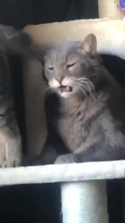 Цэ мэрзость©