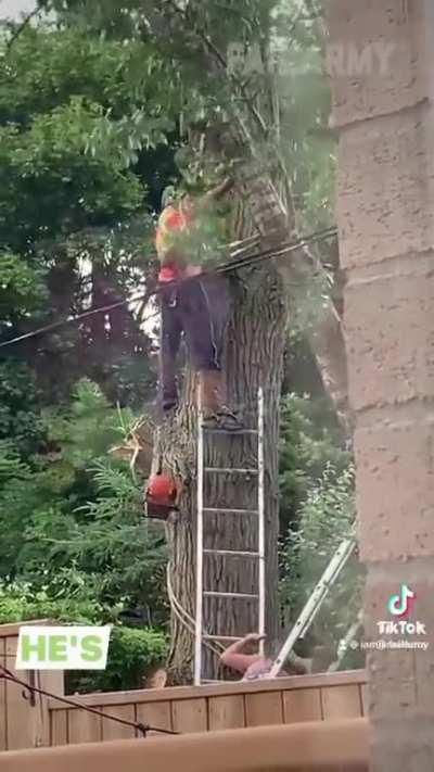 Where does Mr. George find these guys