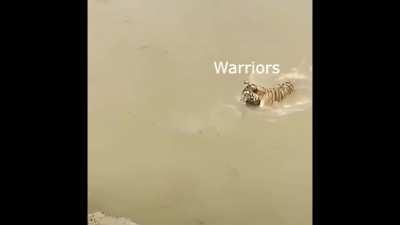 The first thing I thought of when I saw this clip was AOV XD