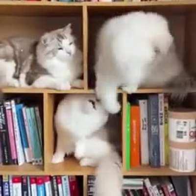 annoying neighbors..