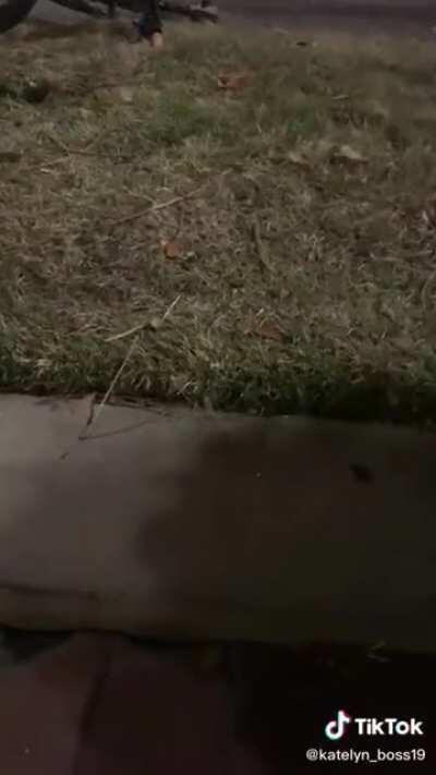 HMFT after I ride my bike down these stairs