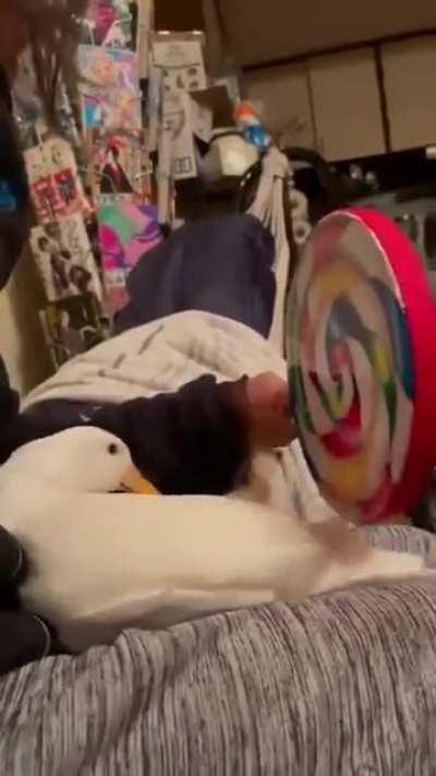 Let me play you a little tune..