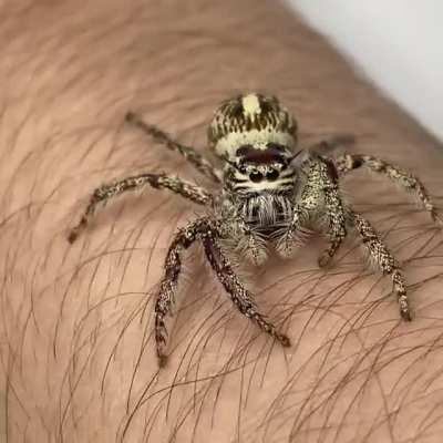 Y’all message but don’t upvote 🥺🥺😂