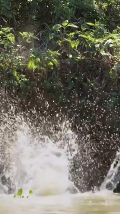 He just wanted to say hello.