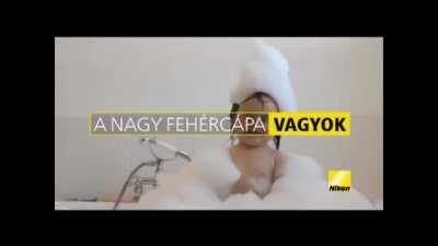 Vékre ety rentes reglám