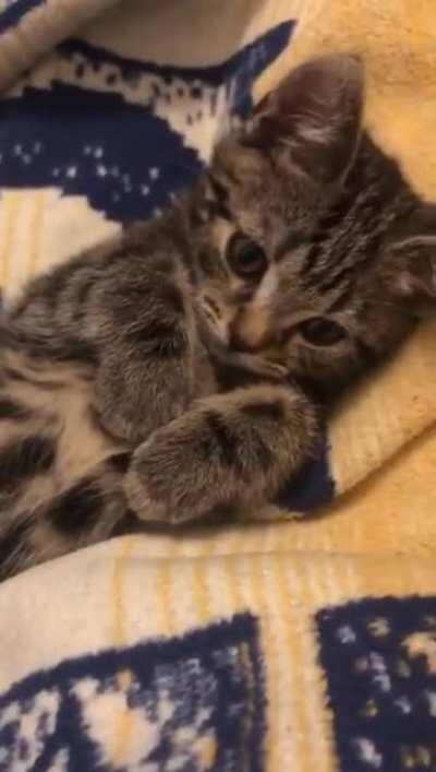 Getting ready for bedtime