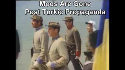 WTF is Romanian? Is that some kind of alien?