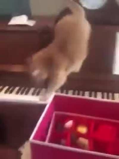 Play me a song piano man