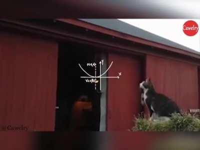 he tried so hard, but didn't get so far