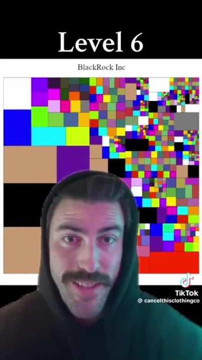 A handful of companies own a sizeable majority of each other and basically the entire economy. 