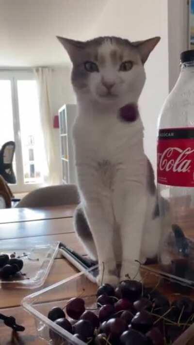 Carefully Curated Crap, Vol. 340