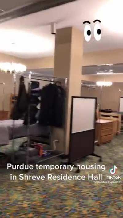 It's like a Social Experiment