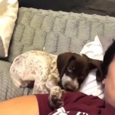 “Okay, I’m comfy now”