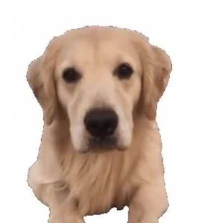 This isnt a meme. Have a great Day!