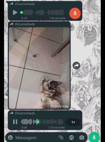 Minha irmã quase surtando por conta de um presentinho da gata dela