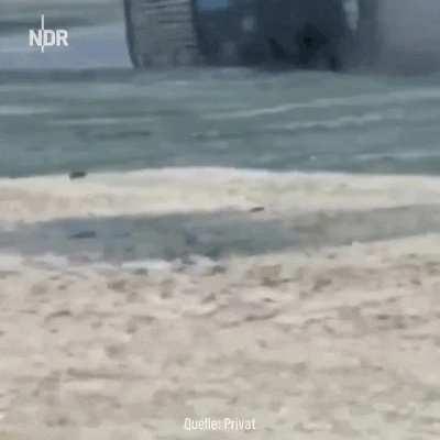 Sorry if repost. From absoluteunit. Rhino dominates car