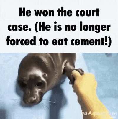 Why does Niko eat cement?