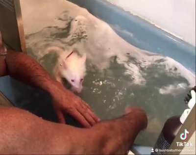 Bubbles in the nose holes