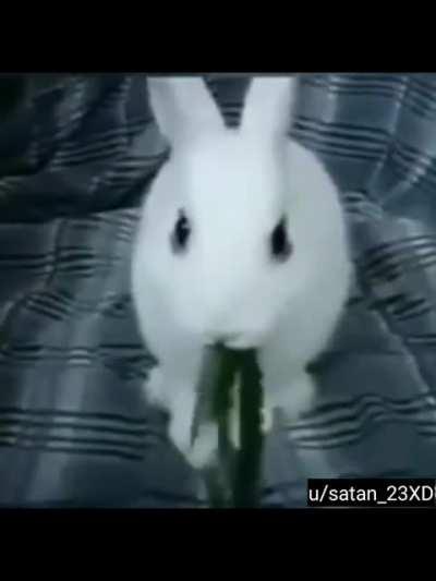 Tell me this isn't dank now