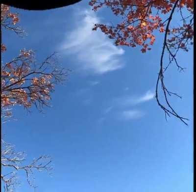 Bike crashes never look graceful.