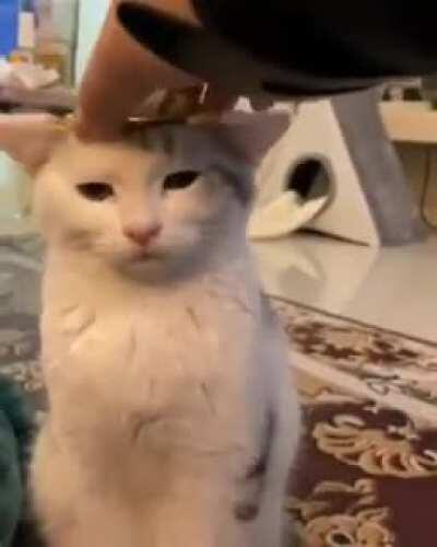 The ears gotta make way for the crown