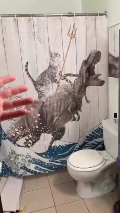 Gon bancas estas cortinas?