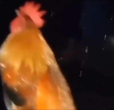 Acordar cedo é uma disgraca