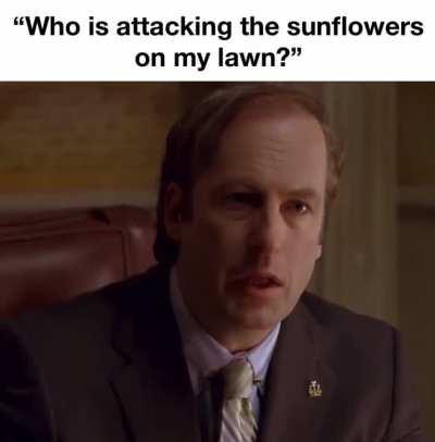 noooo saul they are going to eat your brains😭😭😭