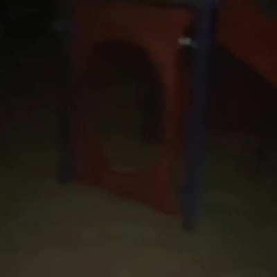 Cursed_Playground