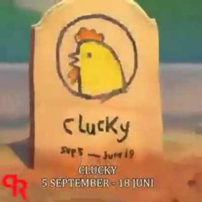 RIP Clucky, the chicken😢