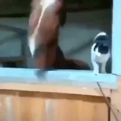 O an ki kardeşin sen oyun oynarken yanıda oturup izlemeye başlar