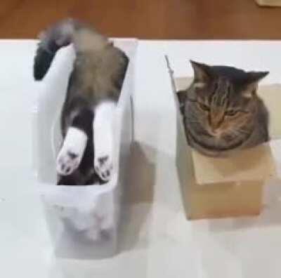 Jack Goofing around while Evelyn Watches