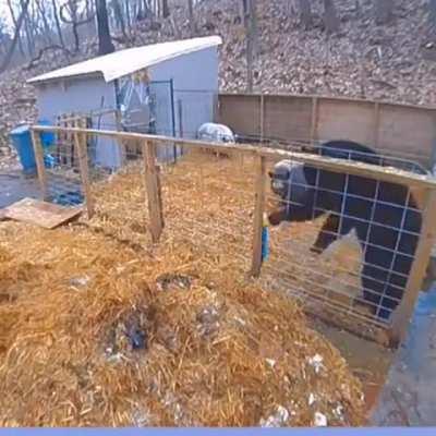 Cuando el barrio te respalda