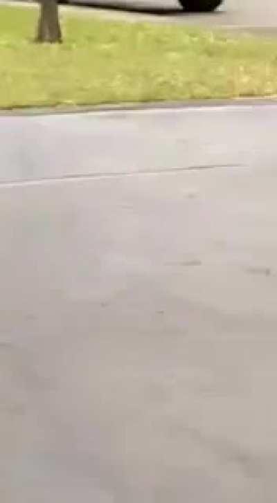 Trying to make off with 12 kg of gold