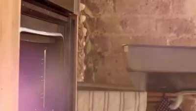 Yaşasın ırqı... bir dakika