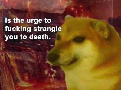 Le shitty product has arrived