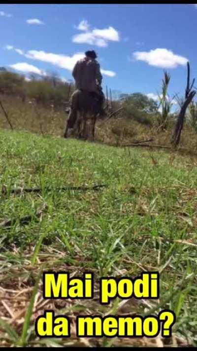 Dá uma lenhada nesse animal... Em qual dos 2?