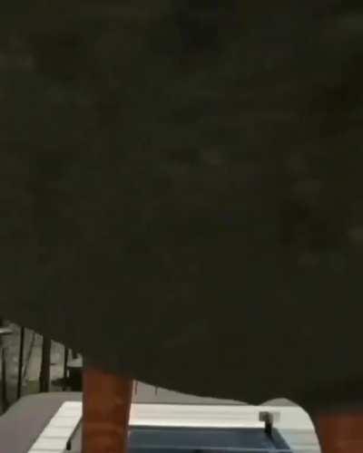 Duck, Protector of All Realms and Lord of Birds