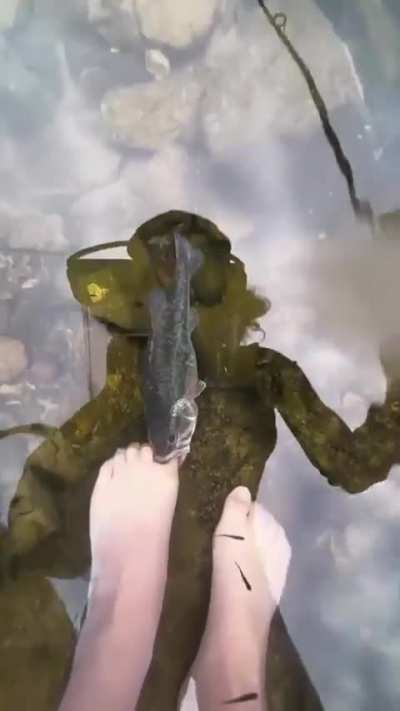 Who’s fishing who bitch?