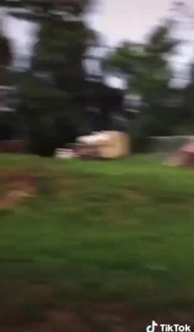 jschlattsubmissions - Video #6564