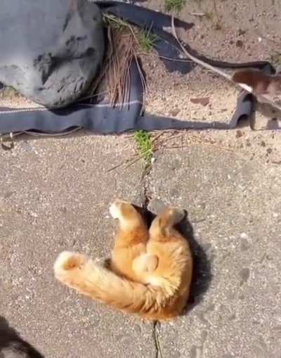 Maybe maybe maybe