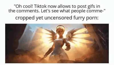 Losercity comment section