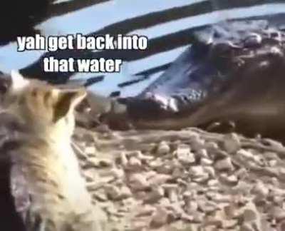 They even make human their slave so.. yeah...