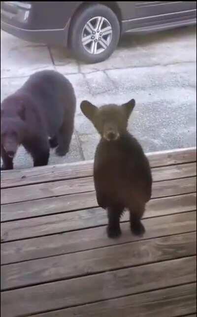 Mi pana rafita mirando la paja grupal a través del cristal