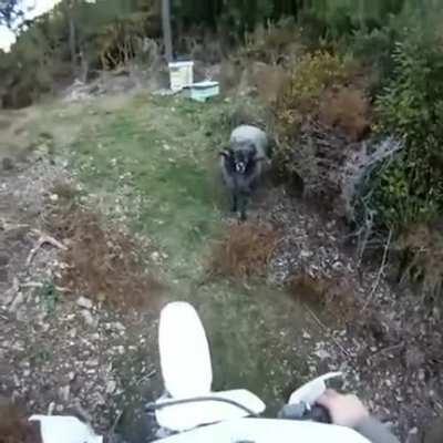 Let me make your ride even adventurous