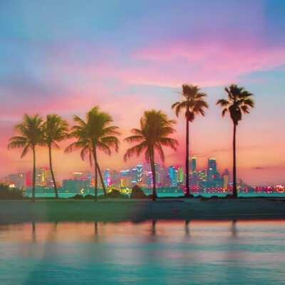 Miami [A]esthetic