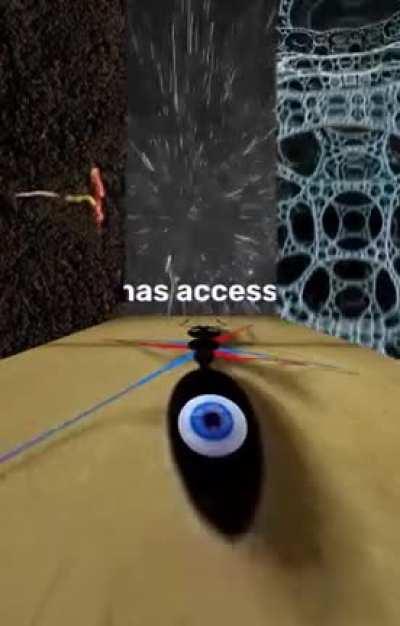 Please think before you insult him