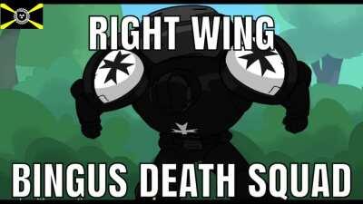 Right wing Bingus death squad
