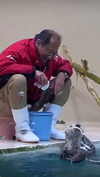 Lovely man playing with an otter at the zoo.